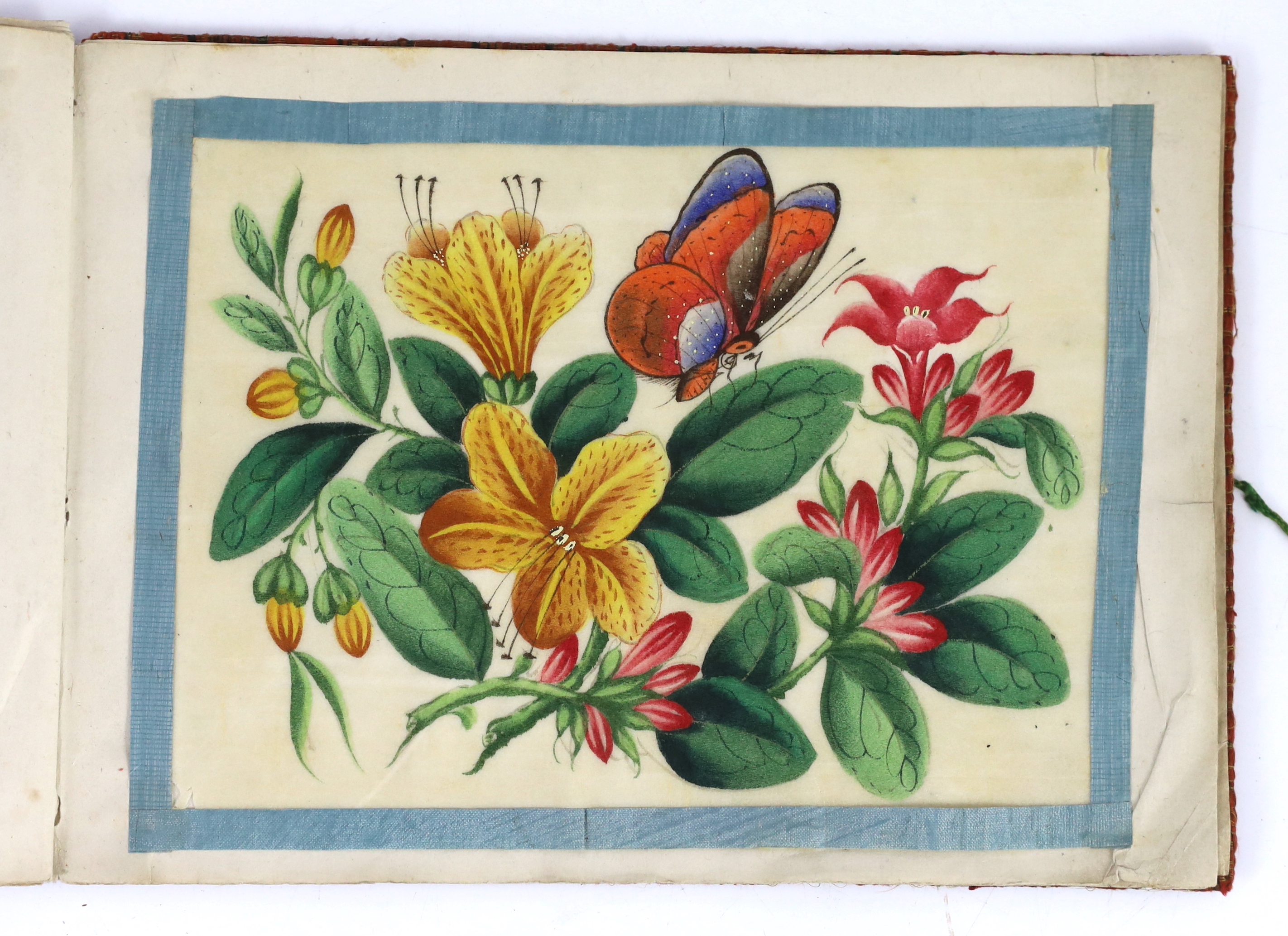 A Chinese album of twelve pith paintings of flowers and insects, 19th century